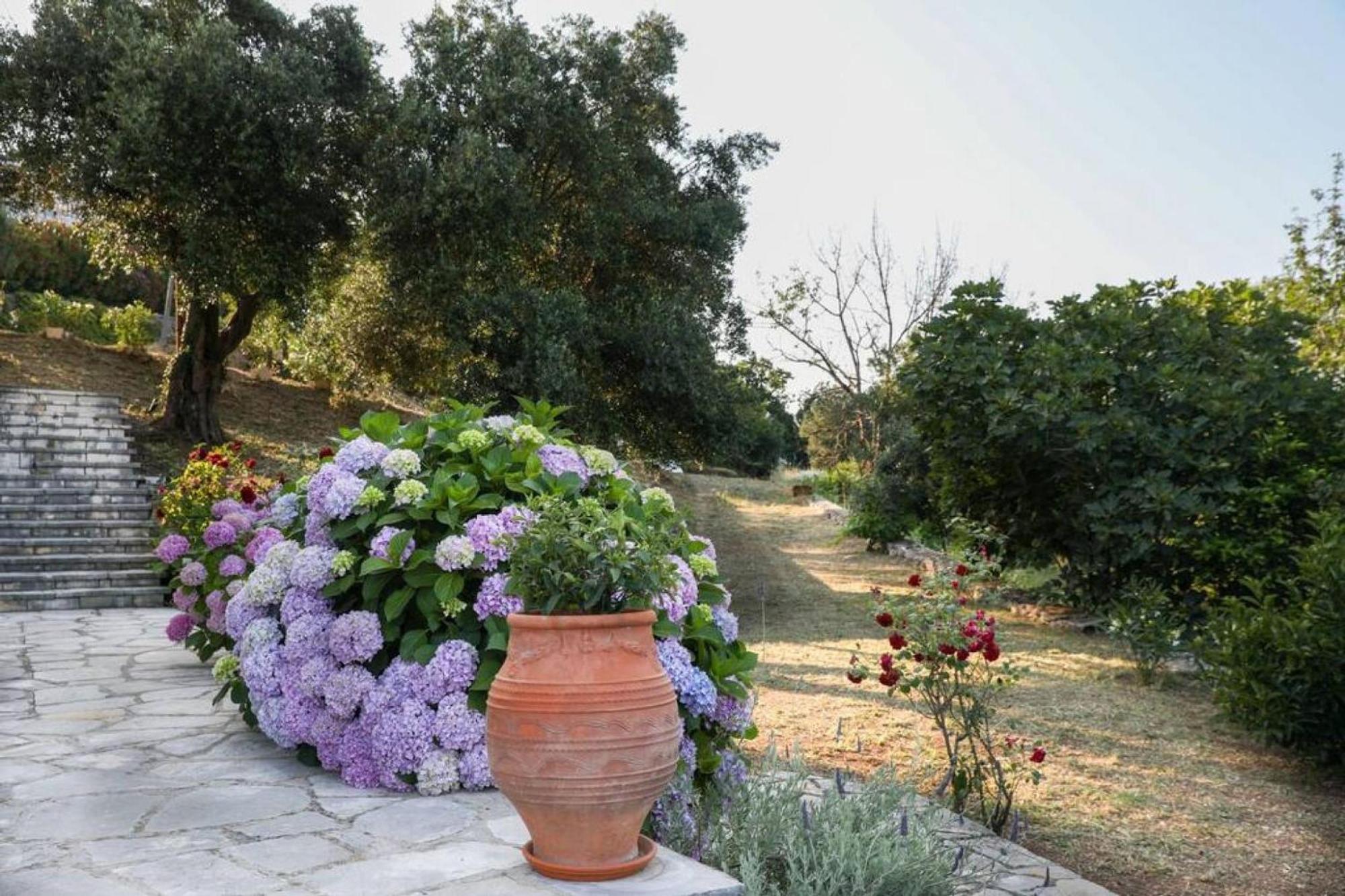 Sinies Stone Cottage - Ne Corfu Agnítsini 外观 照片